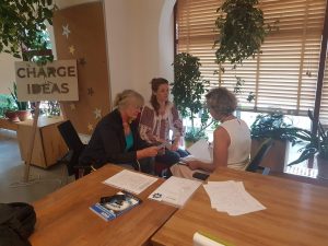 (3)individual work on competency framework